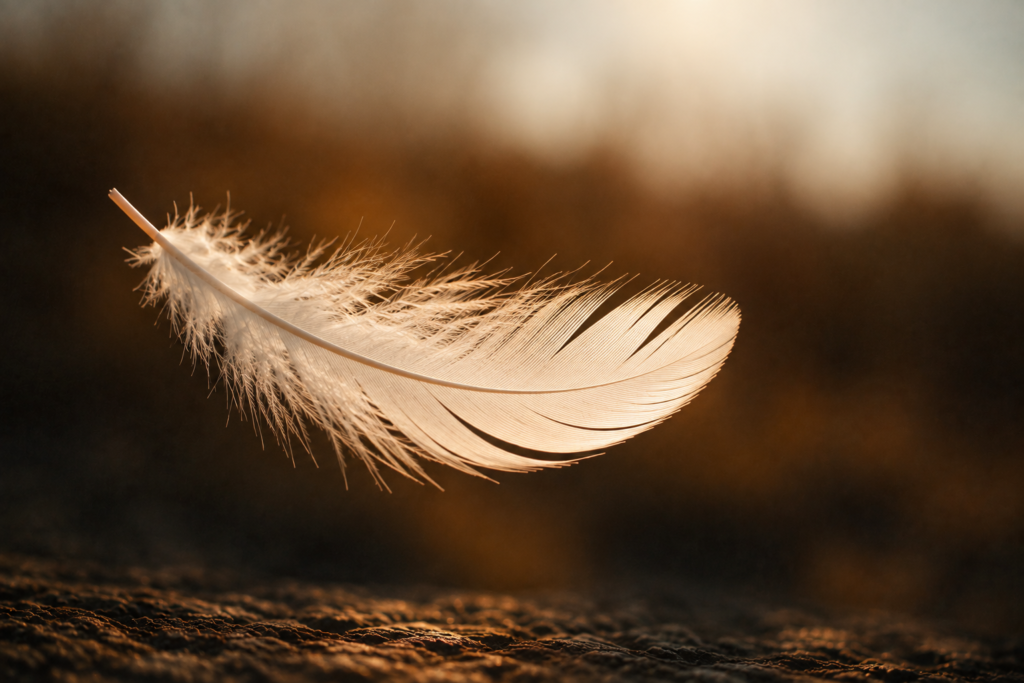Plume légère dans une lumière douce, symbole de relâchement, de respiration et d’allègement intérieur.