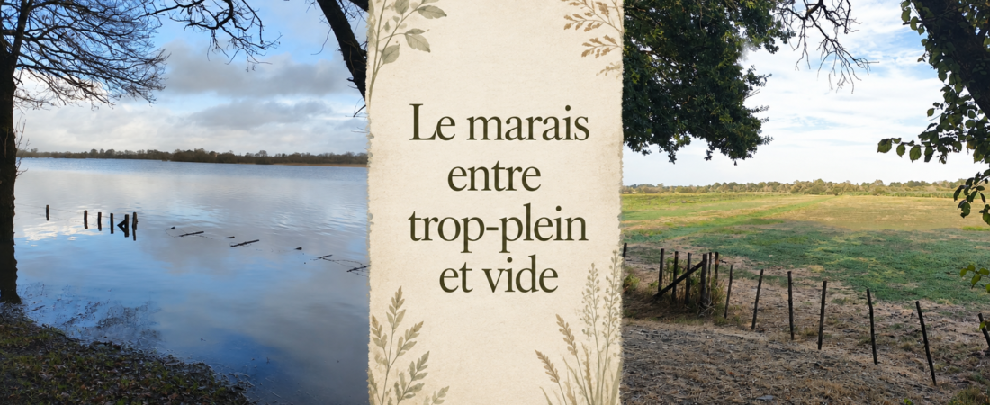 Quand le marais déborde ou s’assèche