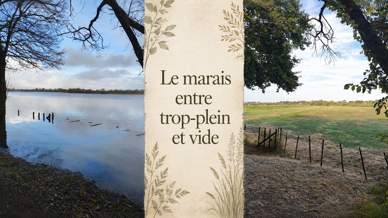 Quand le marais déborde ou s’assèche